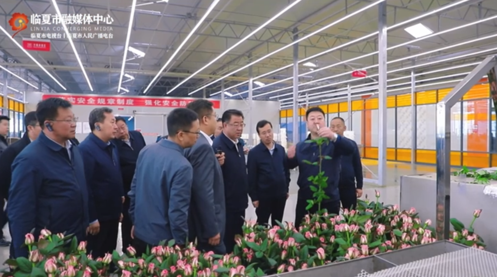 百益亿农国际鲜花港项目——花卉产业盛放“美丽经济”“中国玫瑰超级工厂”