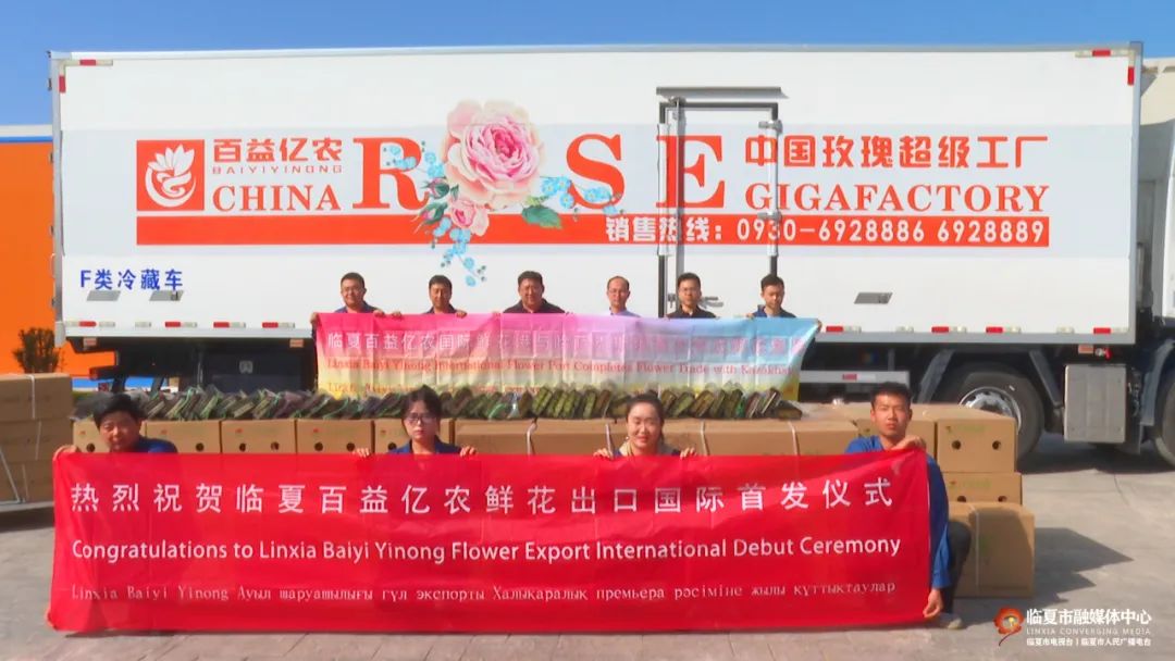 临夏市：鲜切玫瑰走出国门 浪漫经济香飘海外